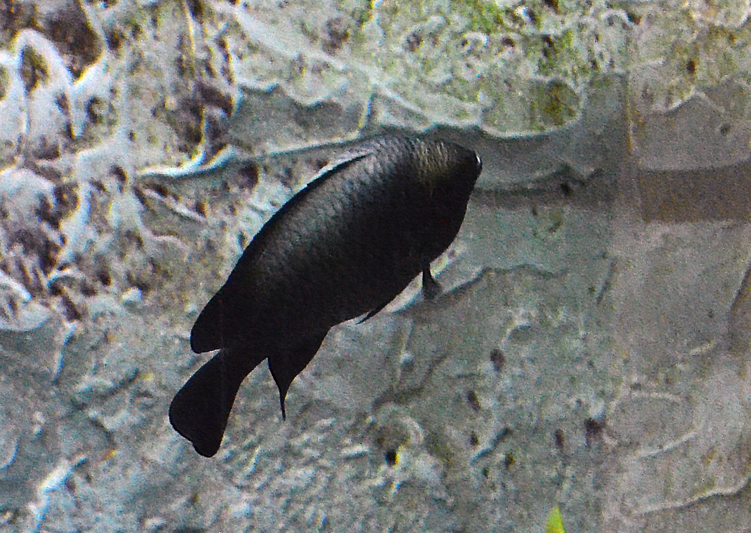 ID Help please? Taken  12 07 2012