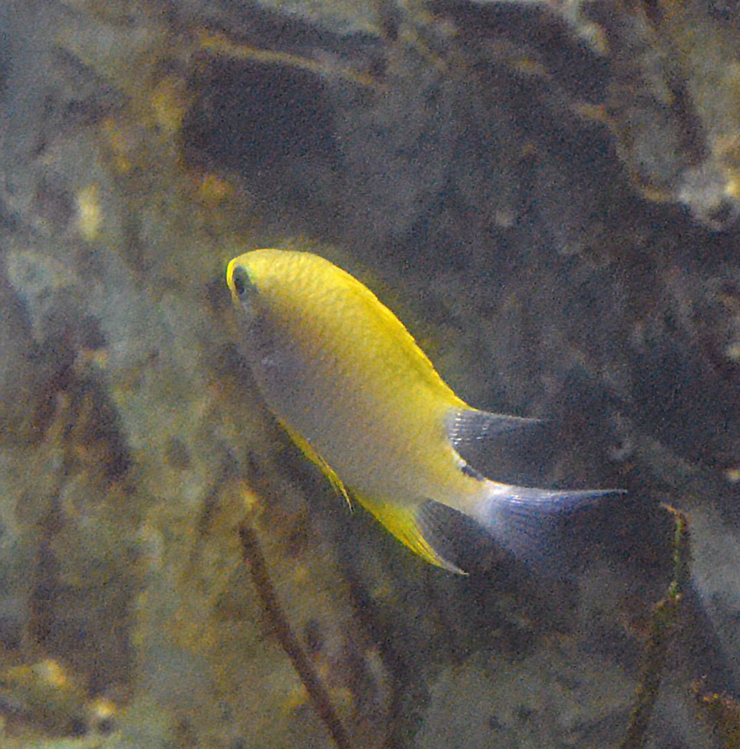 ID Help please? Taken  12 07 2012