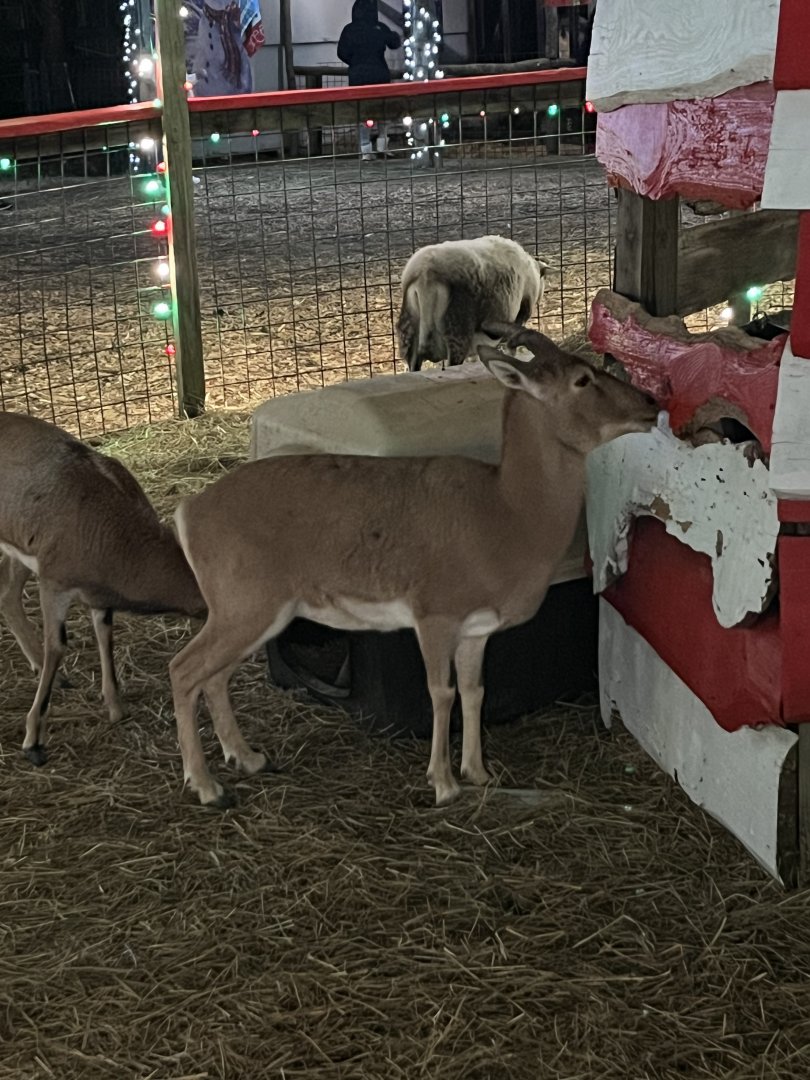 ID? - Hollywild Animal Preserve, 12/23/23
