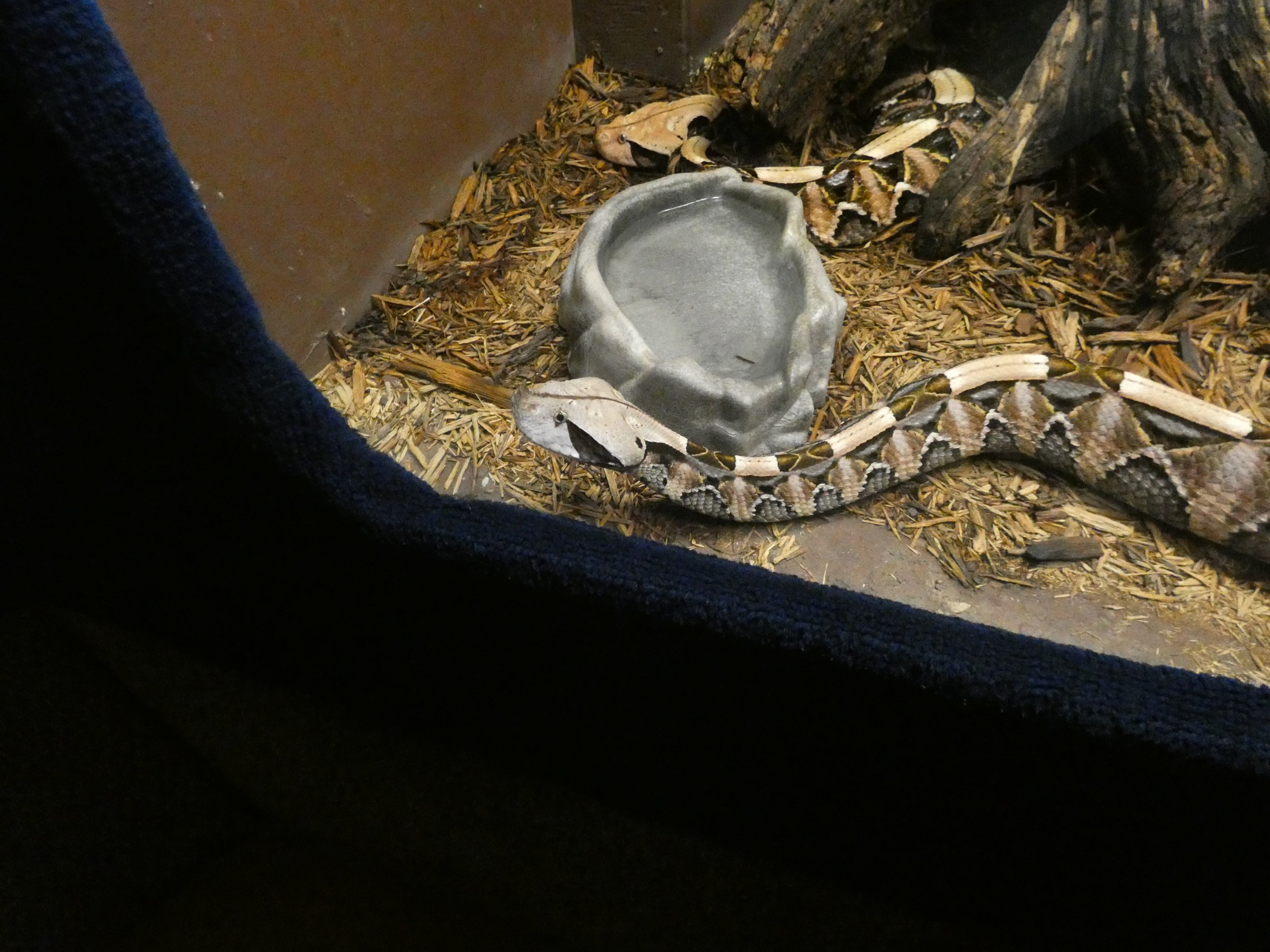 ID? - National Aquarium in Baltimore