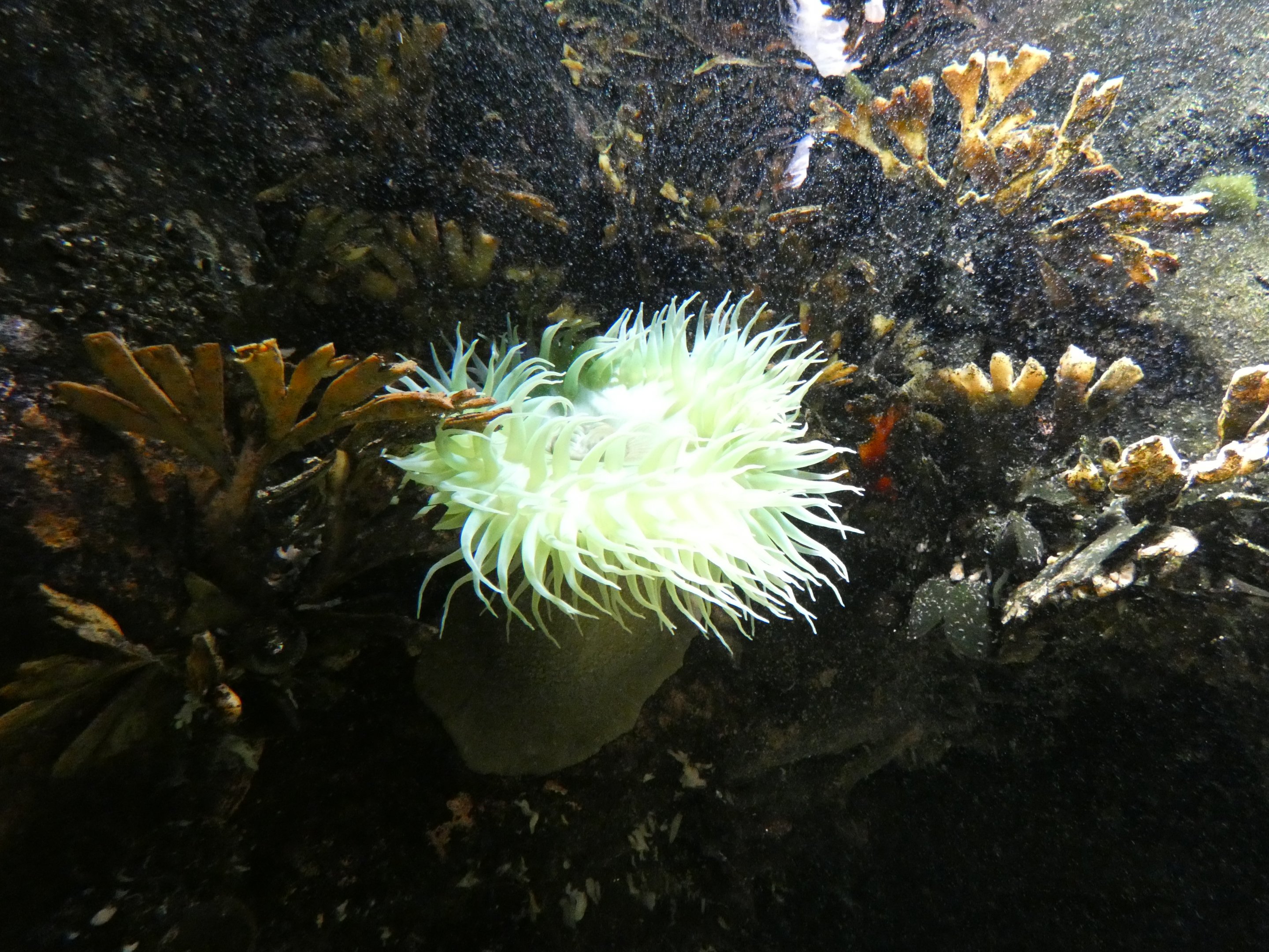 ID? - National Aquarium in Baltimore