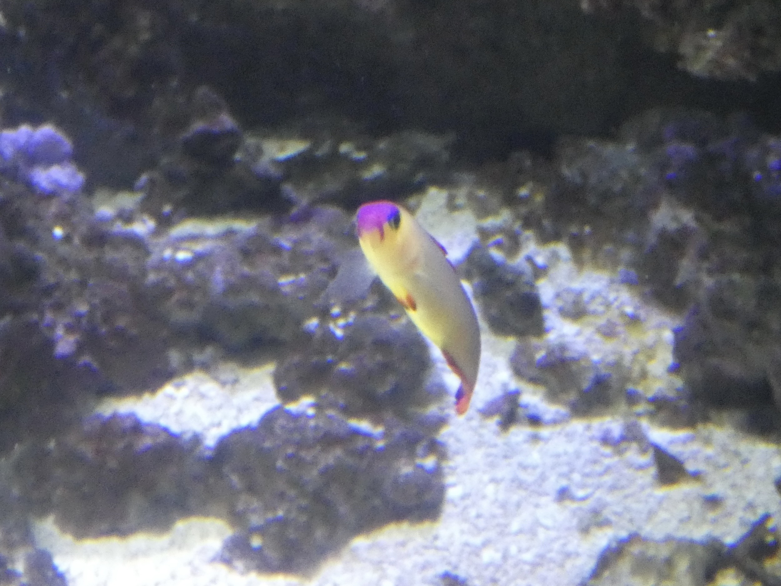 ID? - National Aquarium in Baltimore