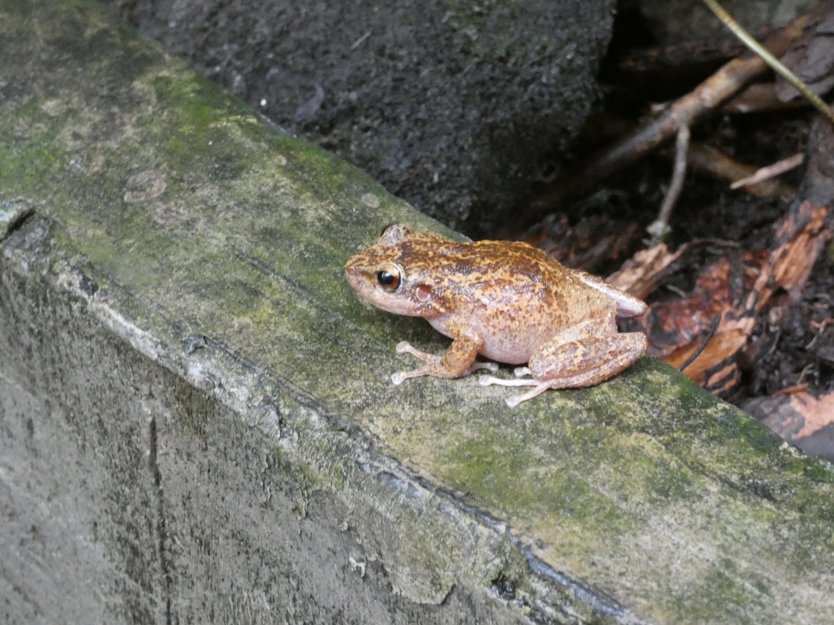 ID? - National Aquarium in Baltimore