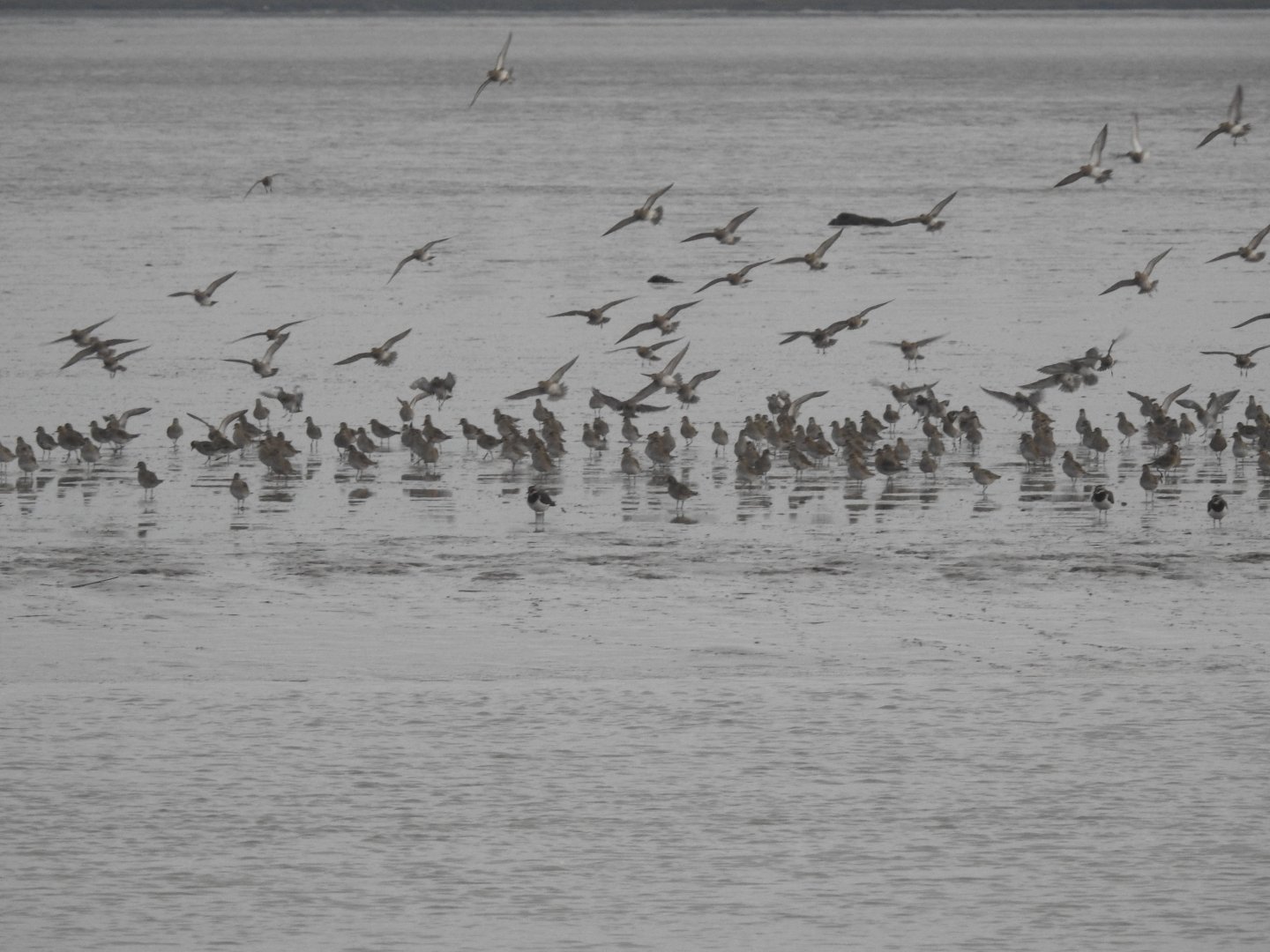 ID - Norfolk Broads Oct 17