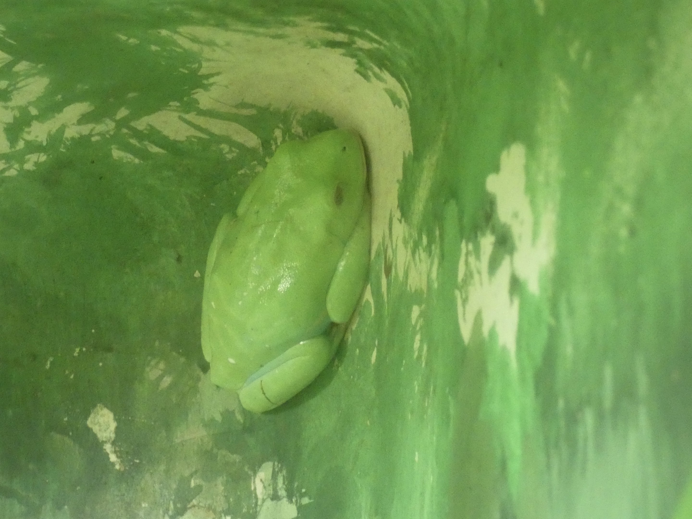 ID? - Philadelphia Zoo