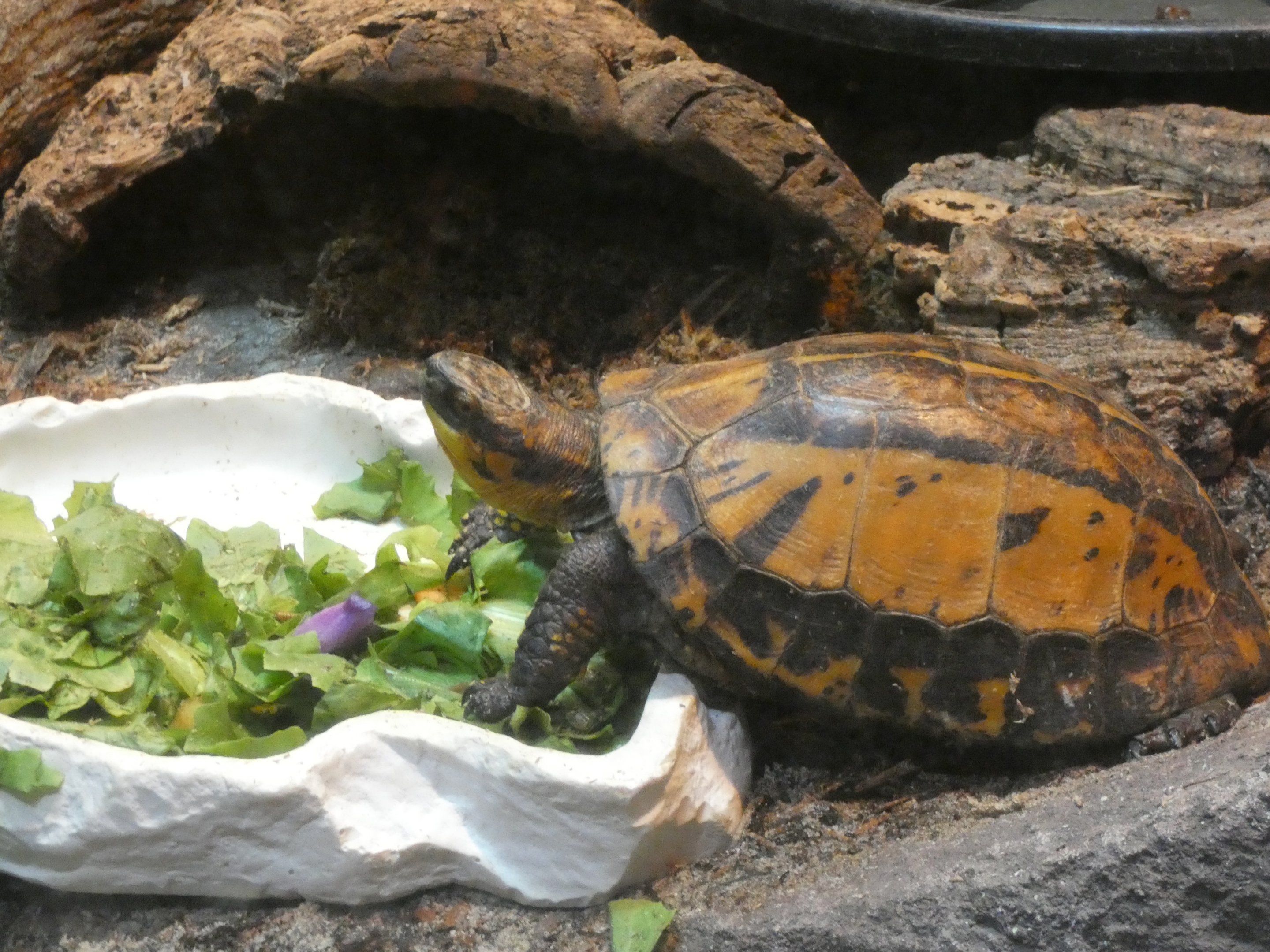 ID? - Philadelphia Zoo