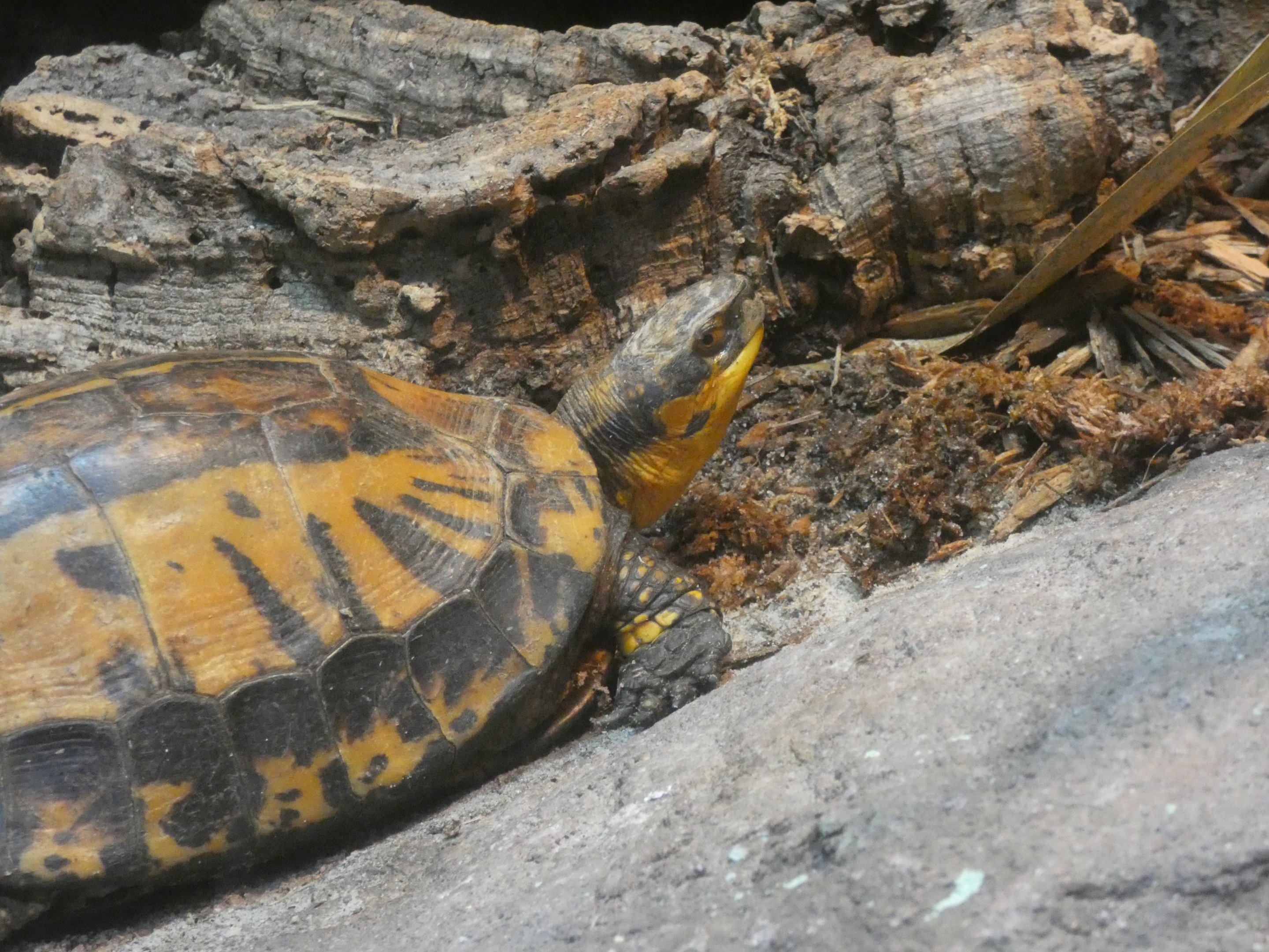 ID? - Philadelphia Zoo