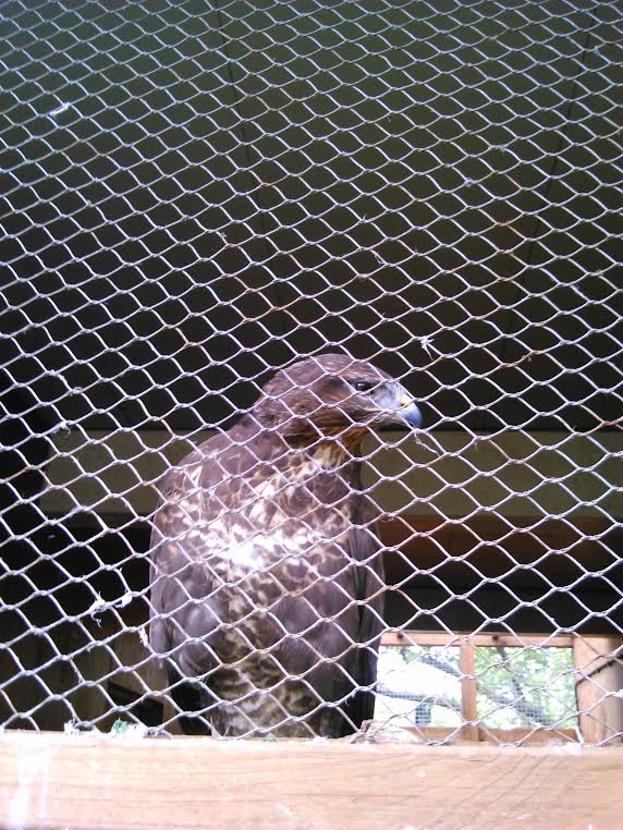 ID please? No sign on these new mews...