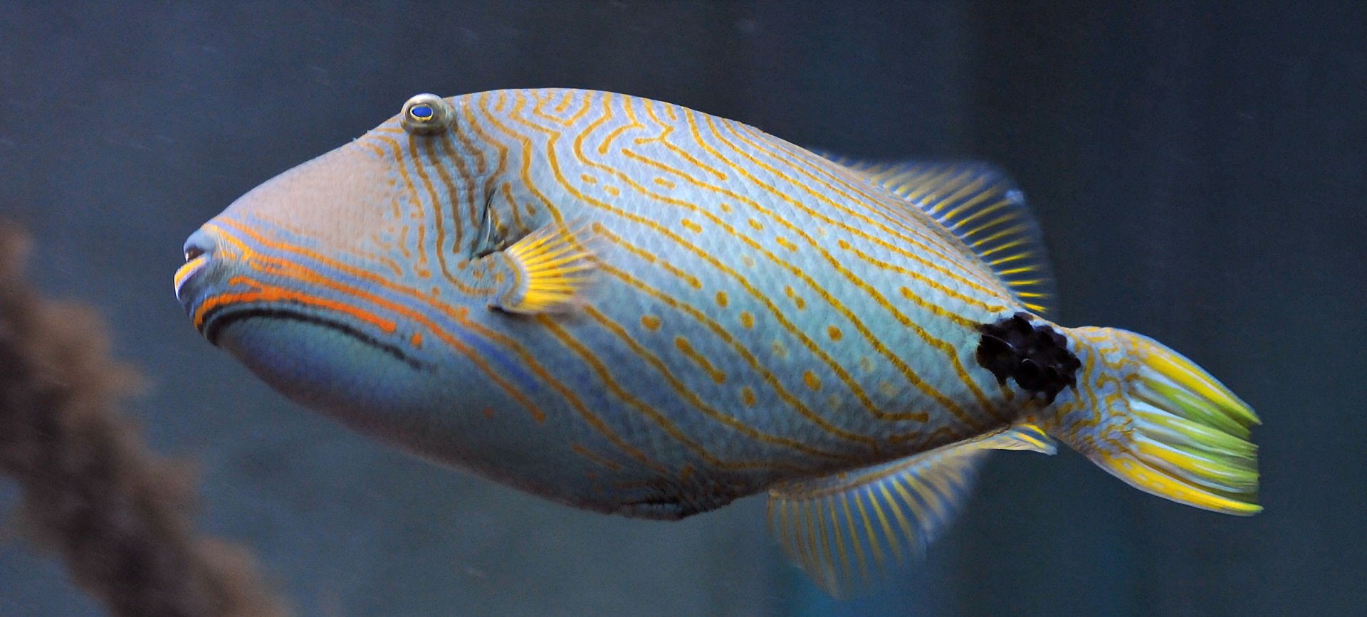 ID Please, taken 30 06 2011