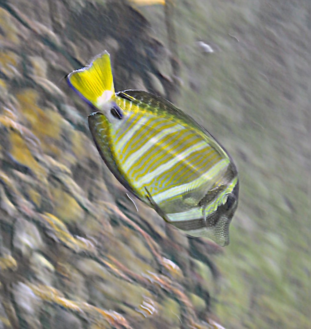 ID Please, taken 30 06 2011