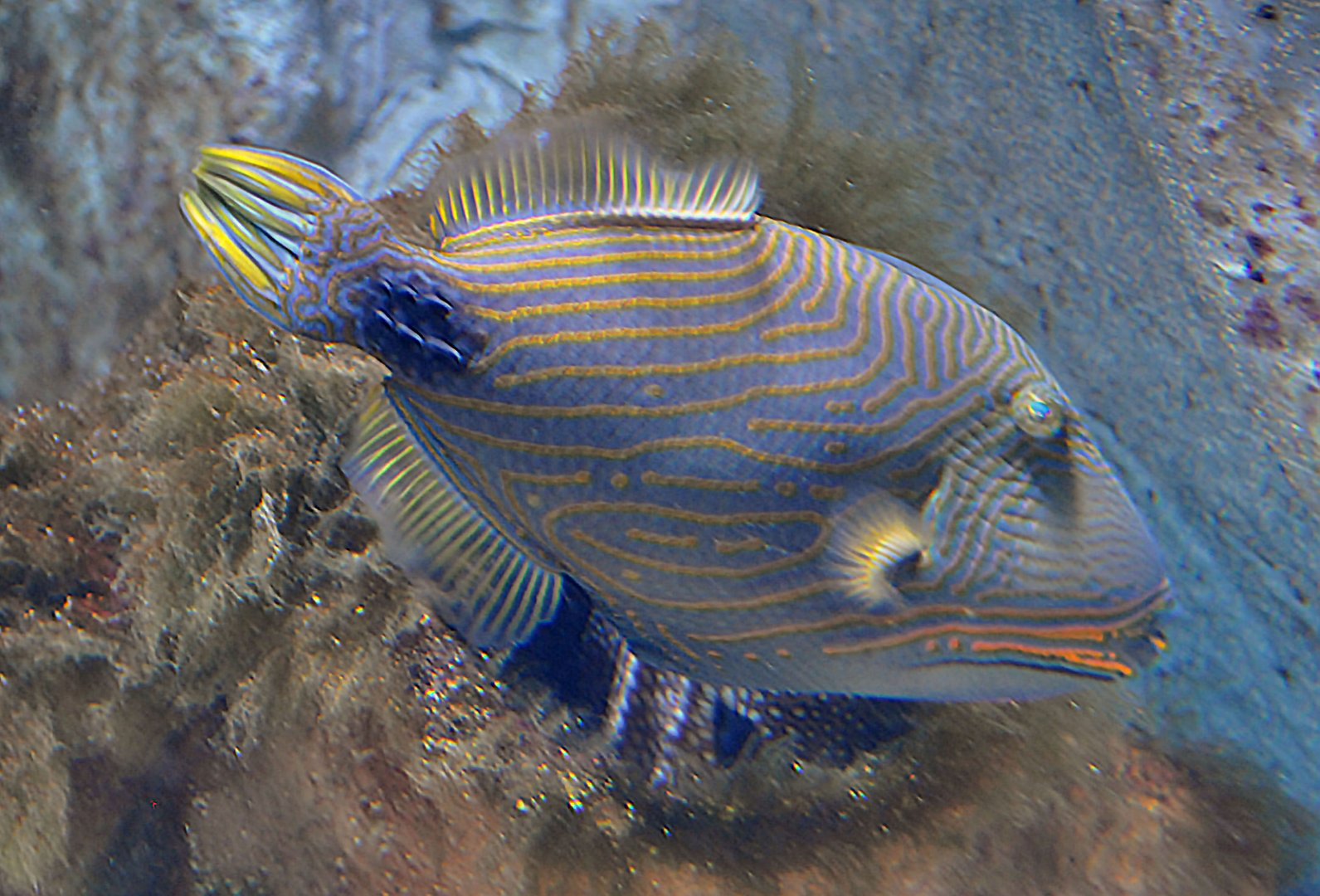 ID Please, taken 30 06 2011