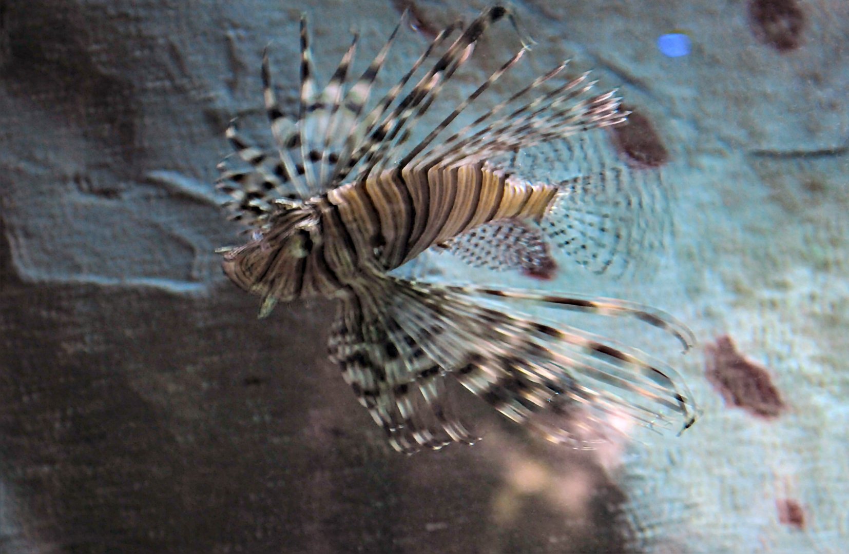 ID Please, taken 30 06 2011