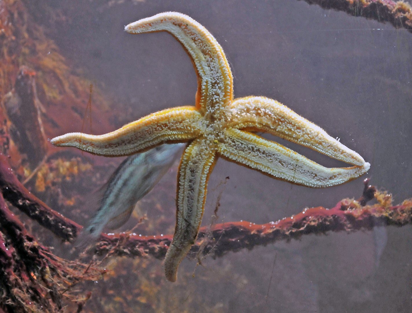 ID Please, taken 30 06 2011