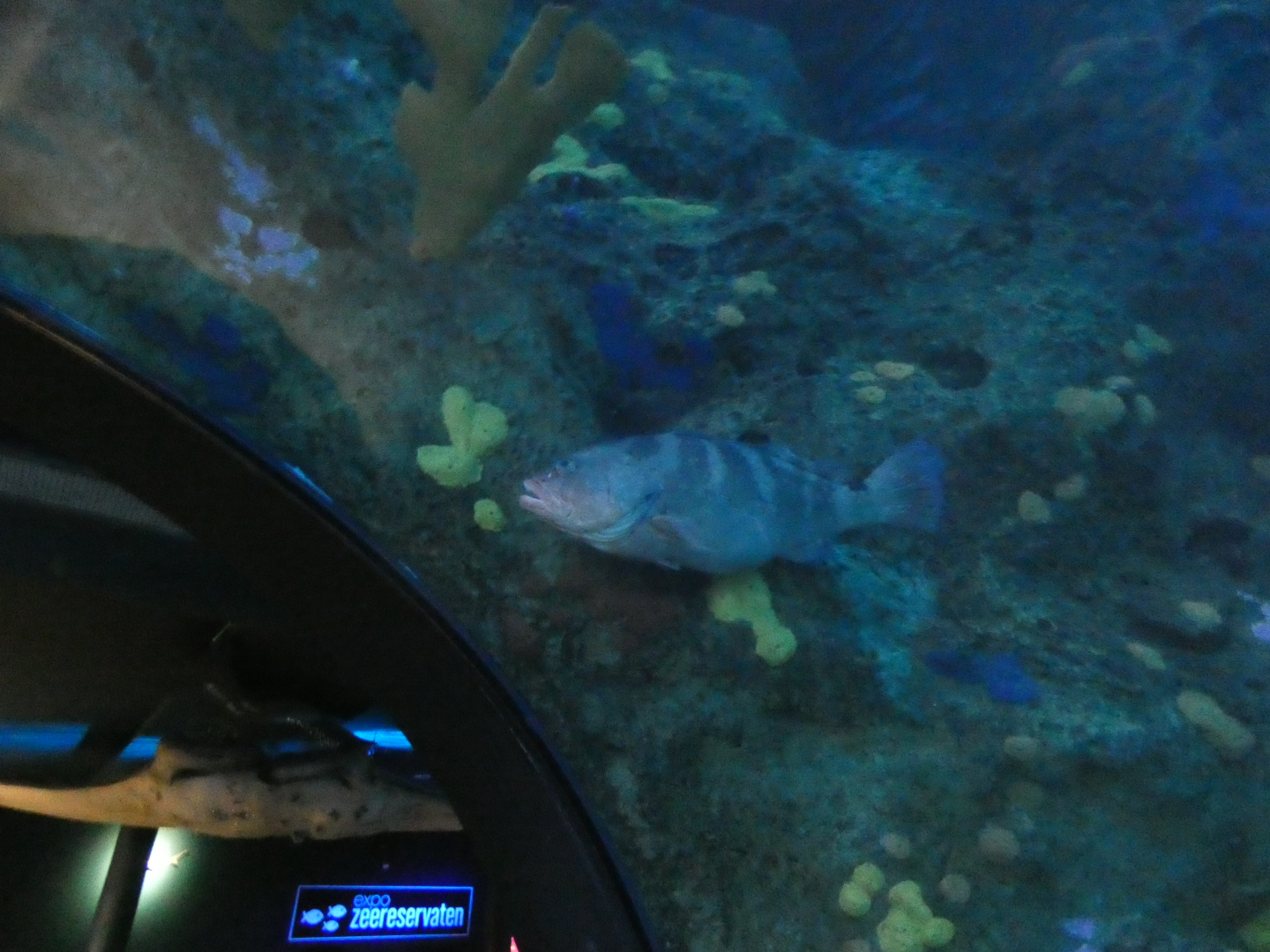 ID? - Rotterdam Blijdorp