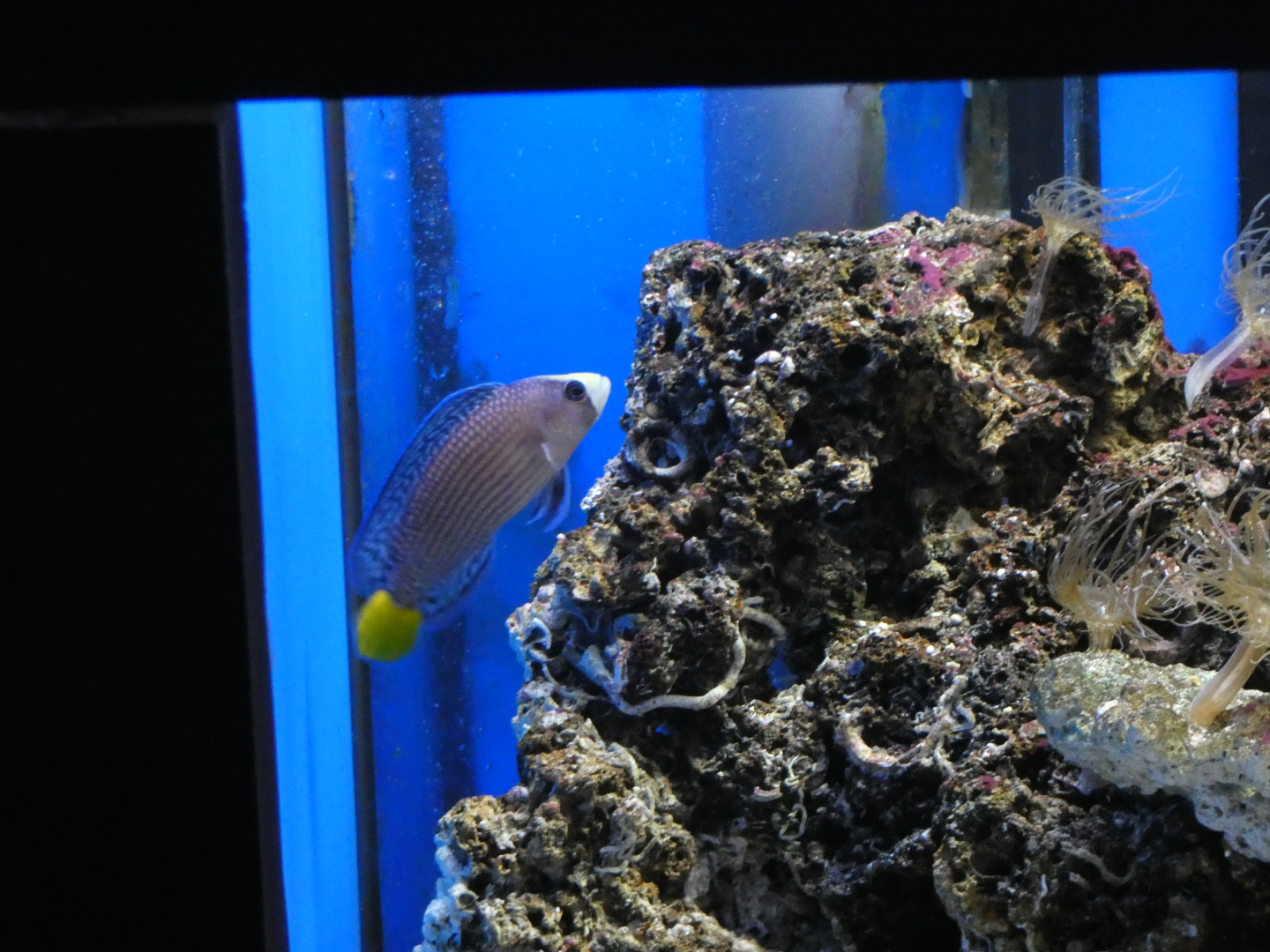 ID? - Rotterdam Blijdorp