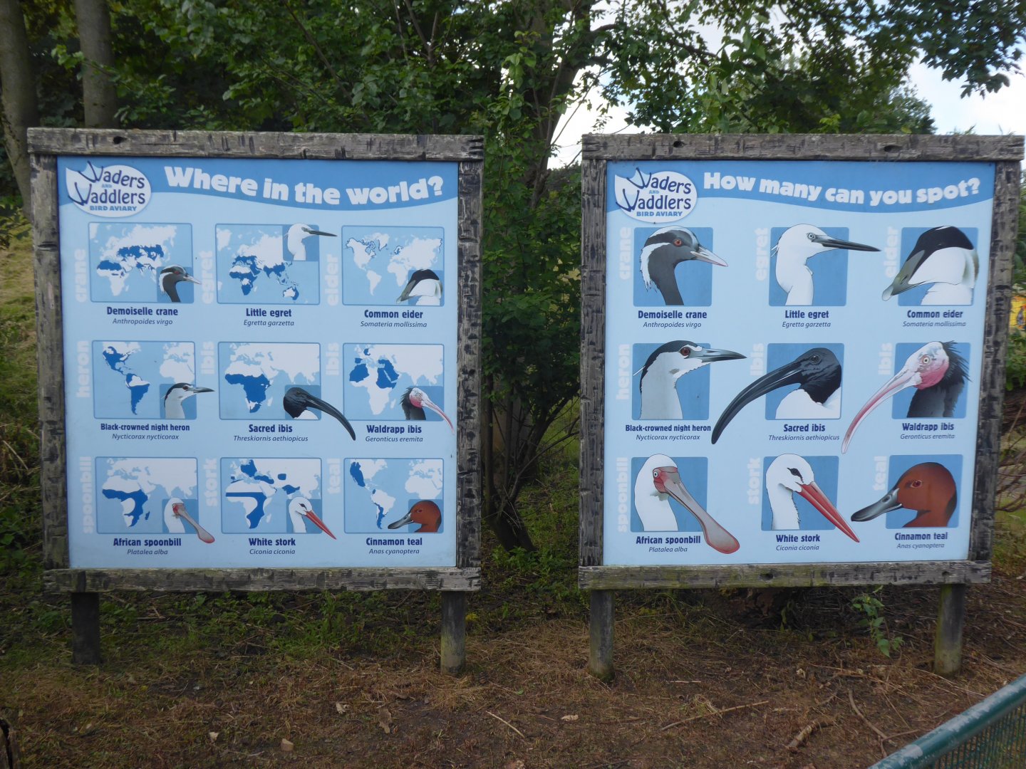 ID sign for large wading bird aviary 040817