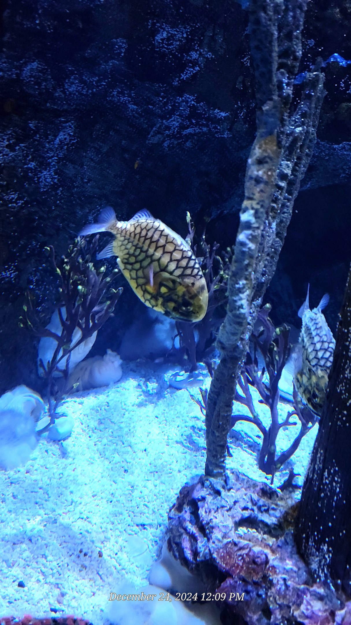 ID species-Riverbanks Zoo