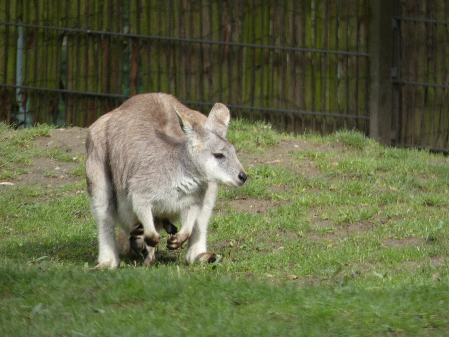 ID? - Zoo Duisburg