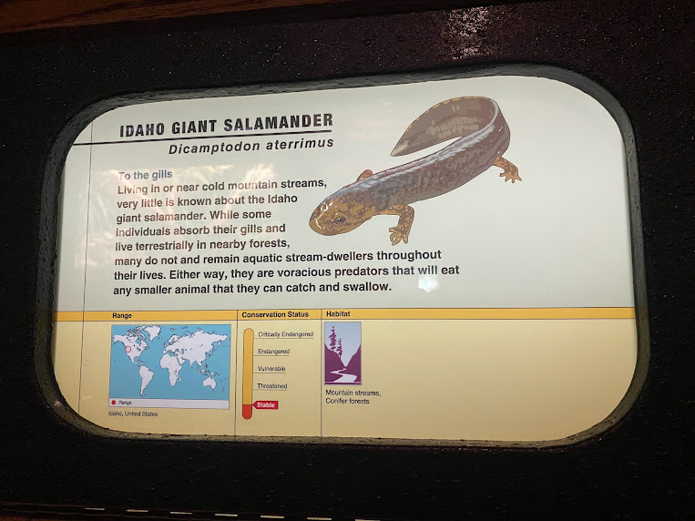 Idaho Giant Salamander signage