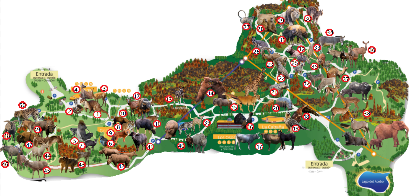 Ideal Cabárceno Masterplan