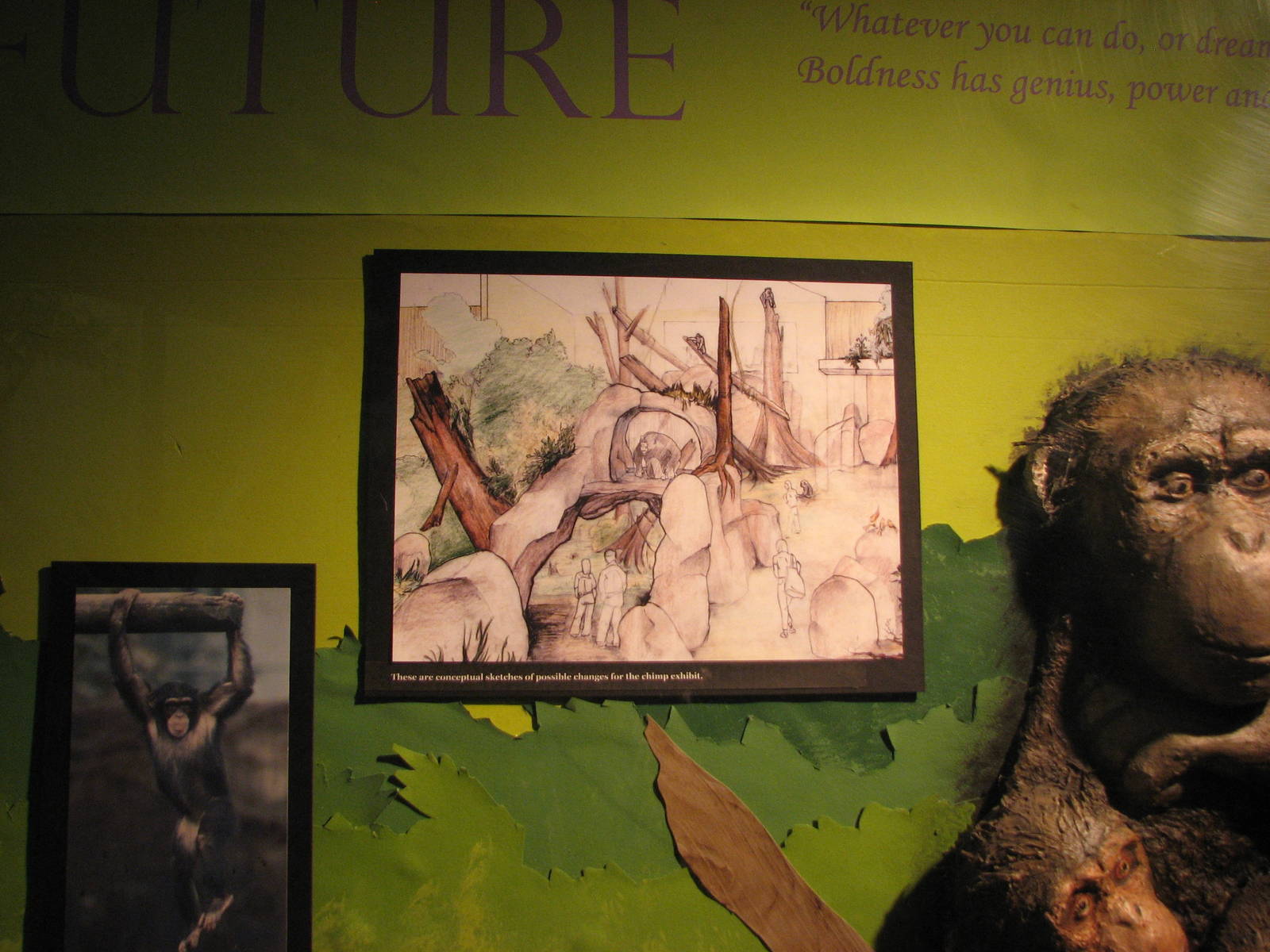 Ideas for the future Chimpanzee Exhibit