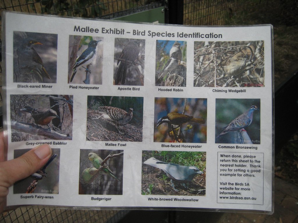 Identification handout for Mallee Aviary