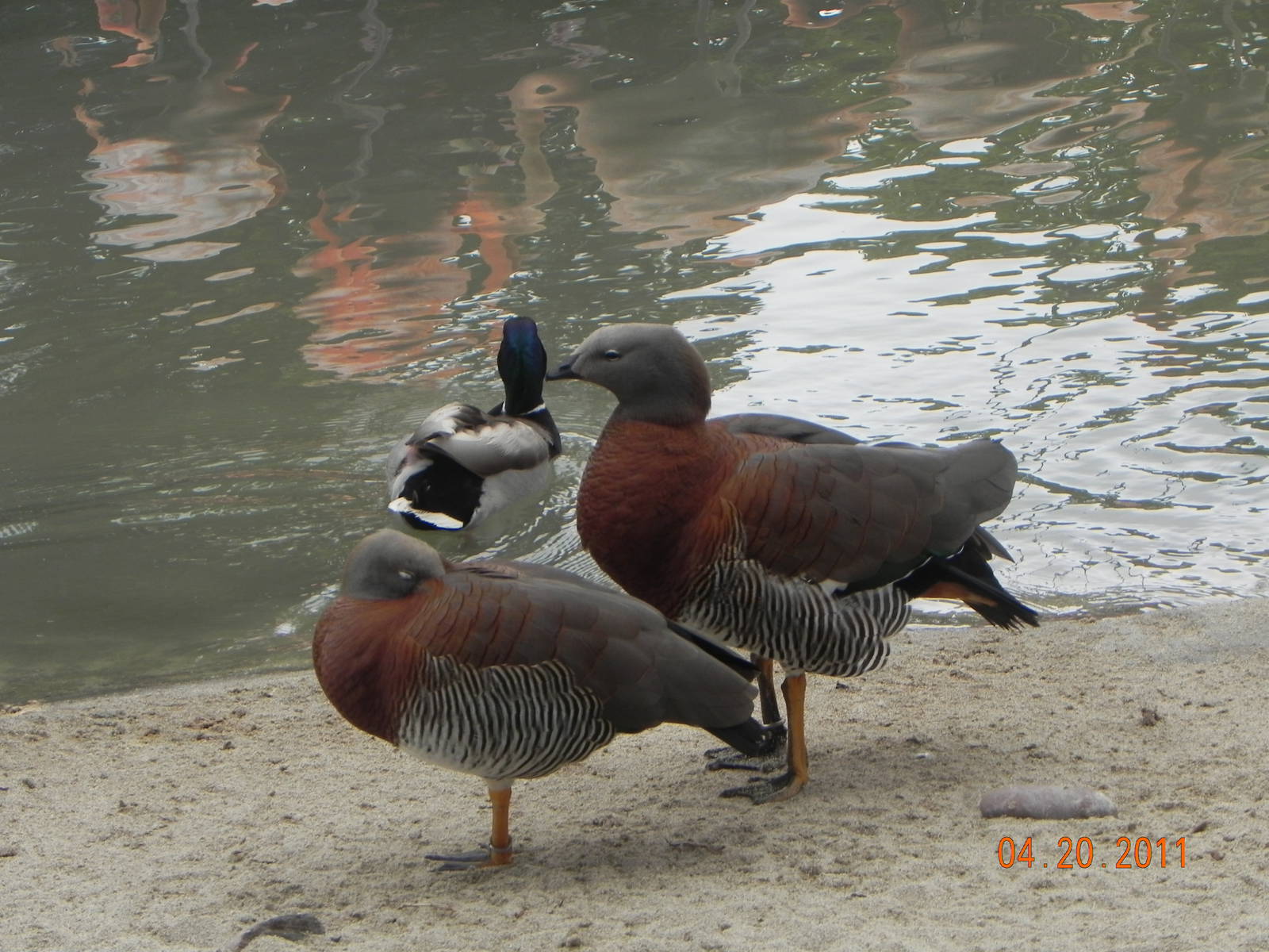 Identification please?