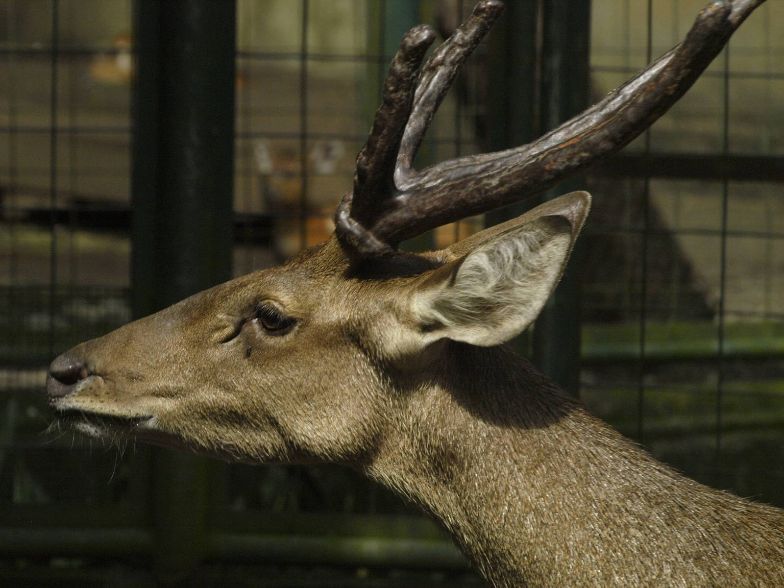 Identification please?