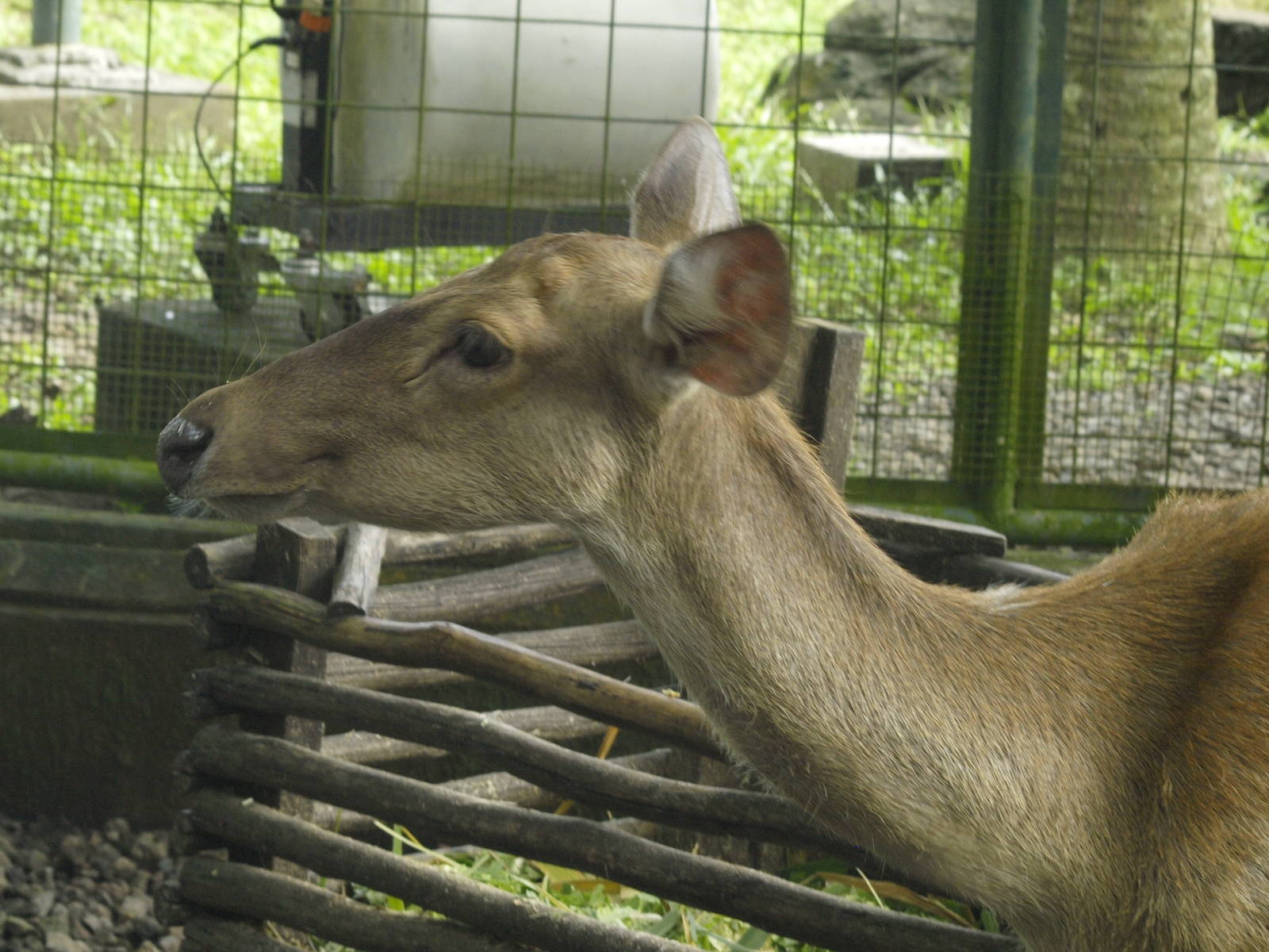 Identification please?