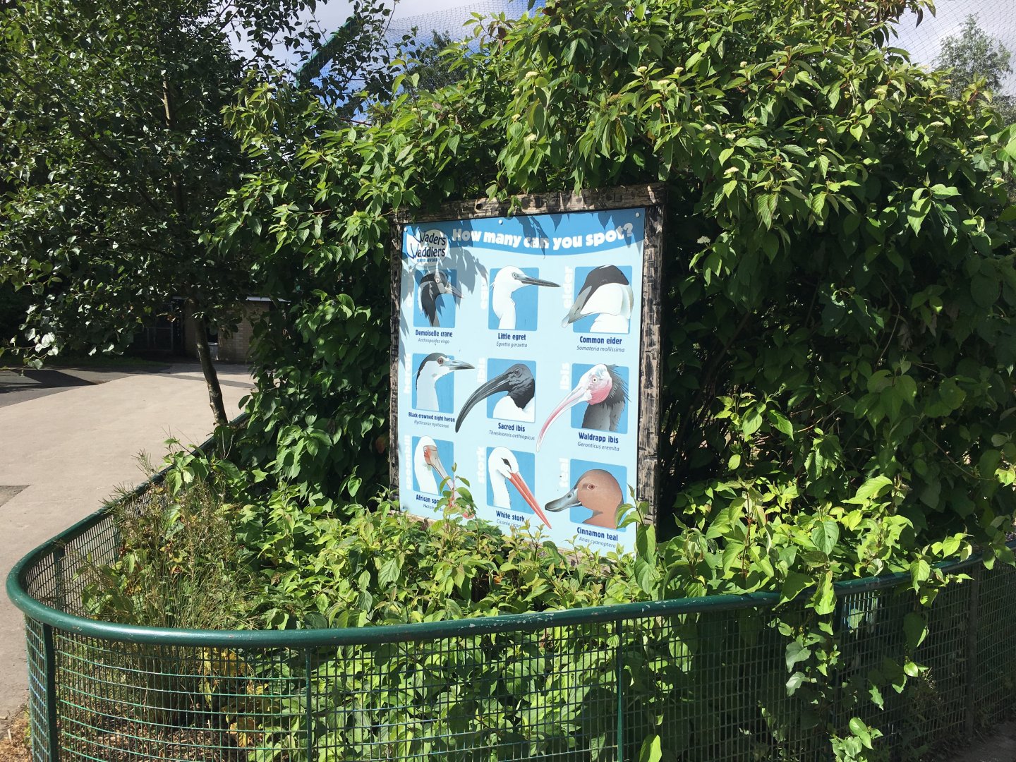 Identification sign for one aviary 040817