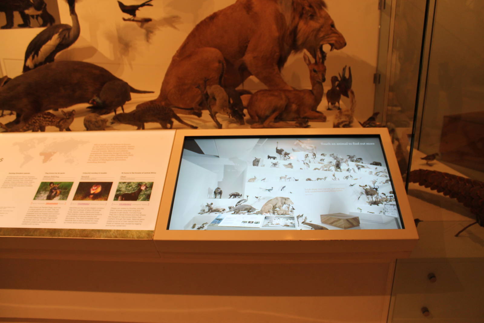 identification signage in the Evolution Gallery