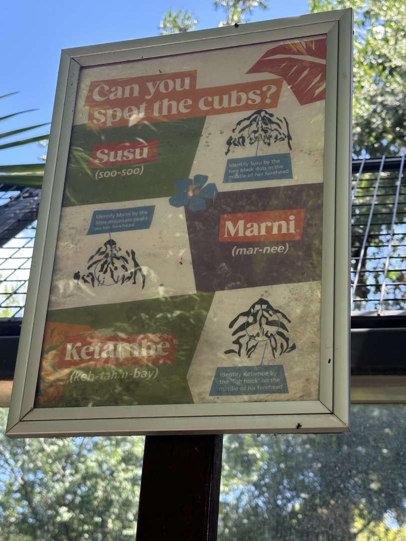 Identifying the tigers signage