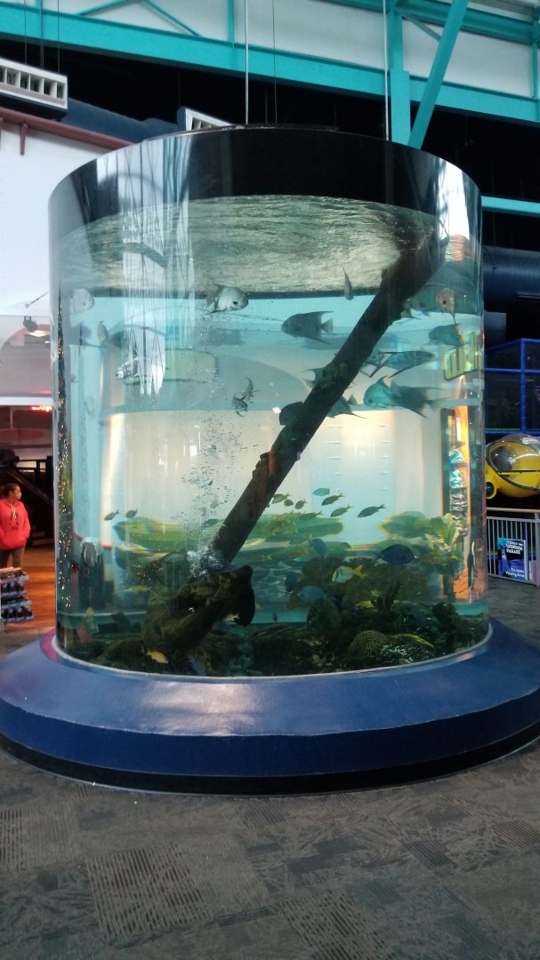 IDs? Aq of the Smokies - Tank inside entrance