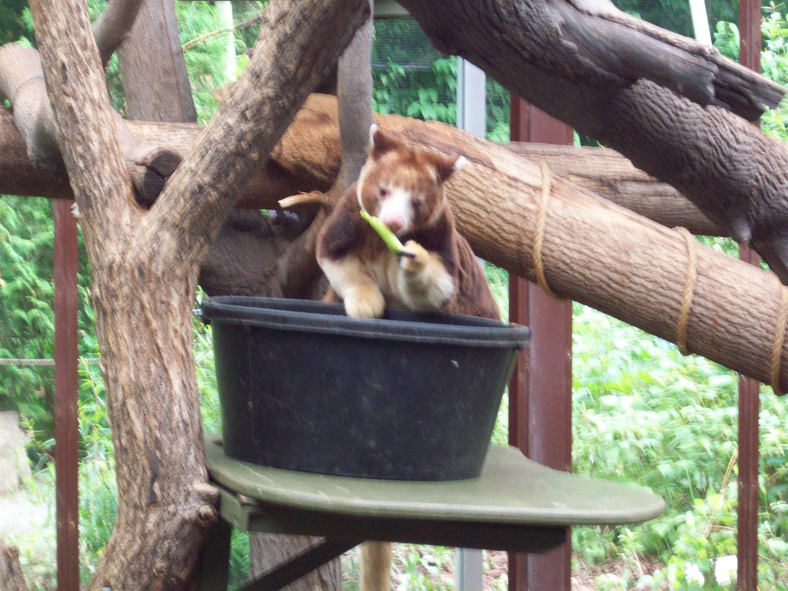 If I only had more time spend with Chrissie.