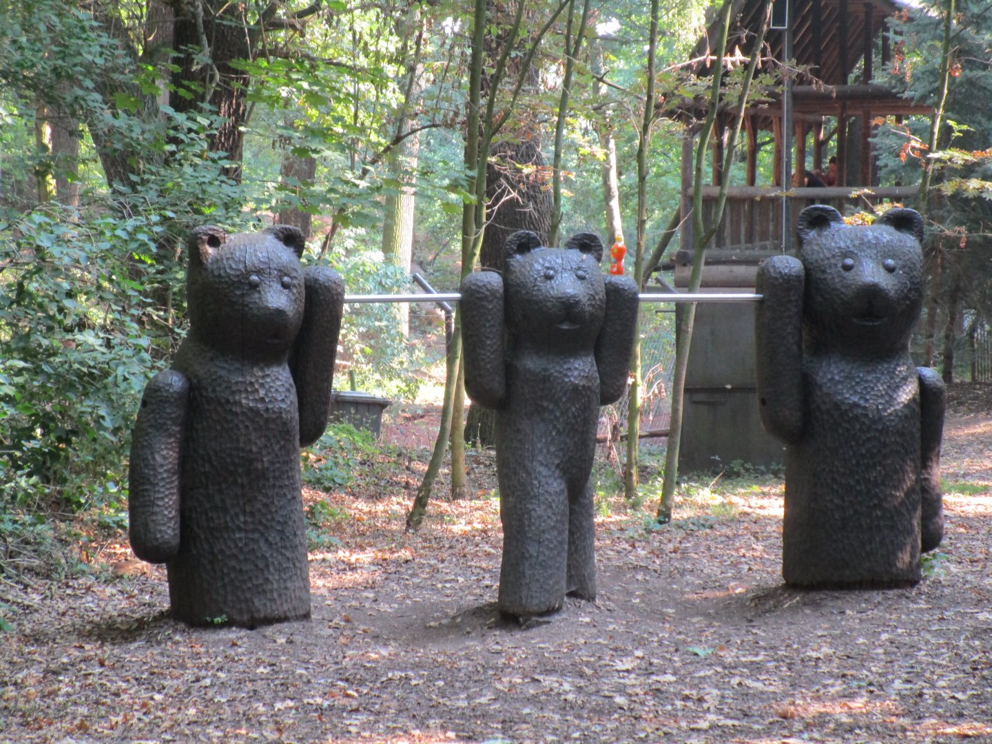 If you go down to the woods today....