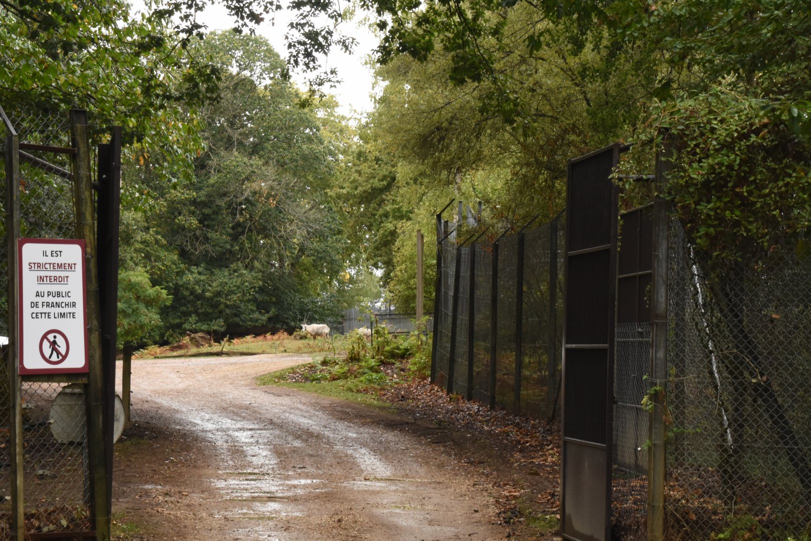 If you want to walk through the safari exhibit....