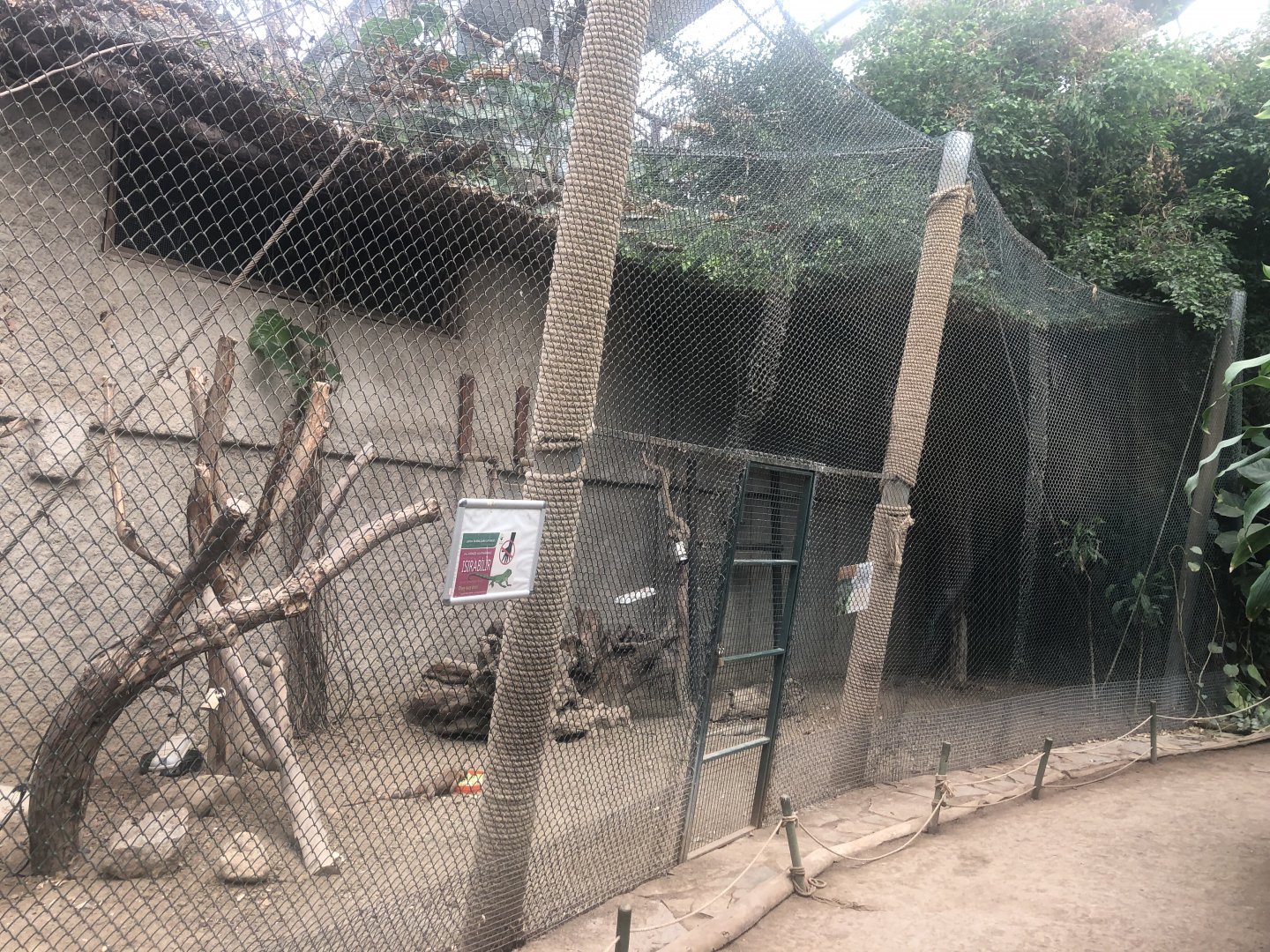 Iguana cage
