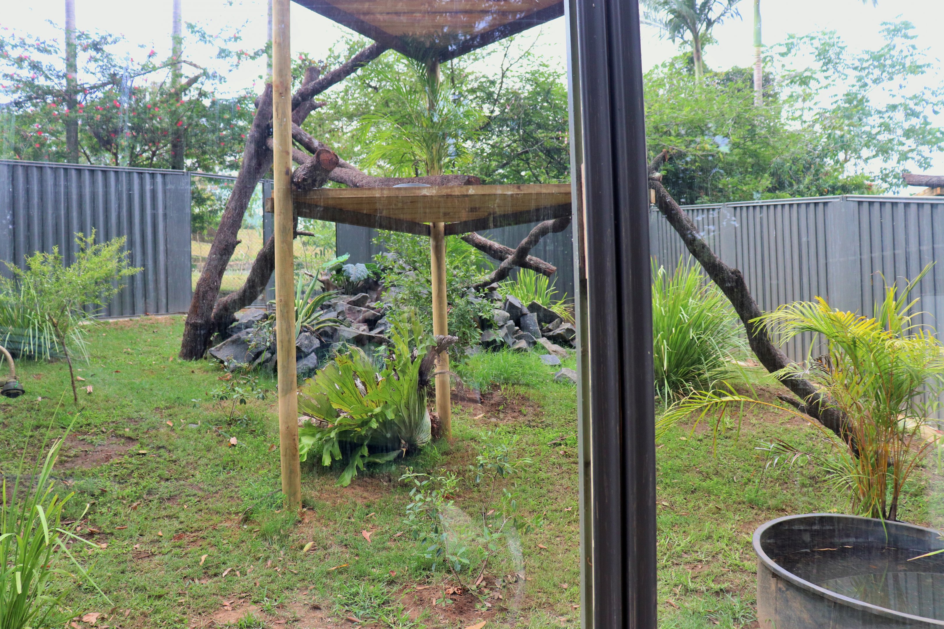Iguana Enclosure