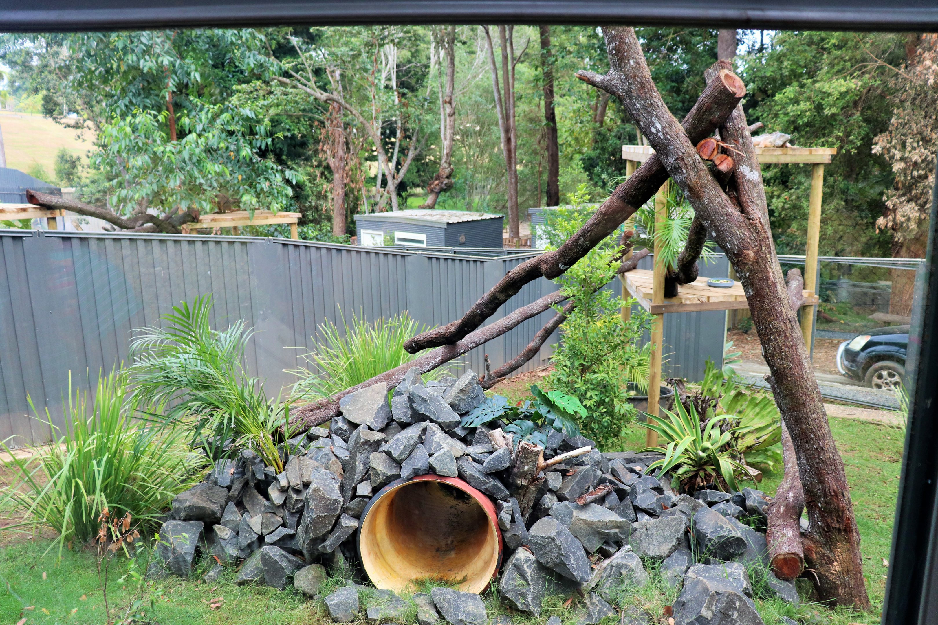 Iguana Enclosure