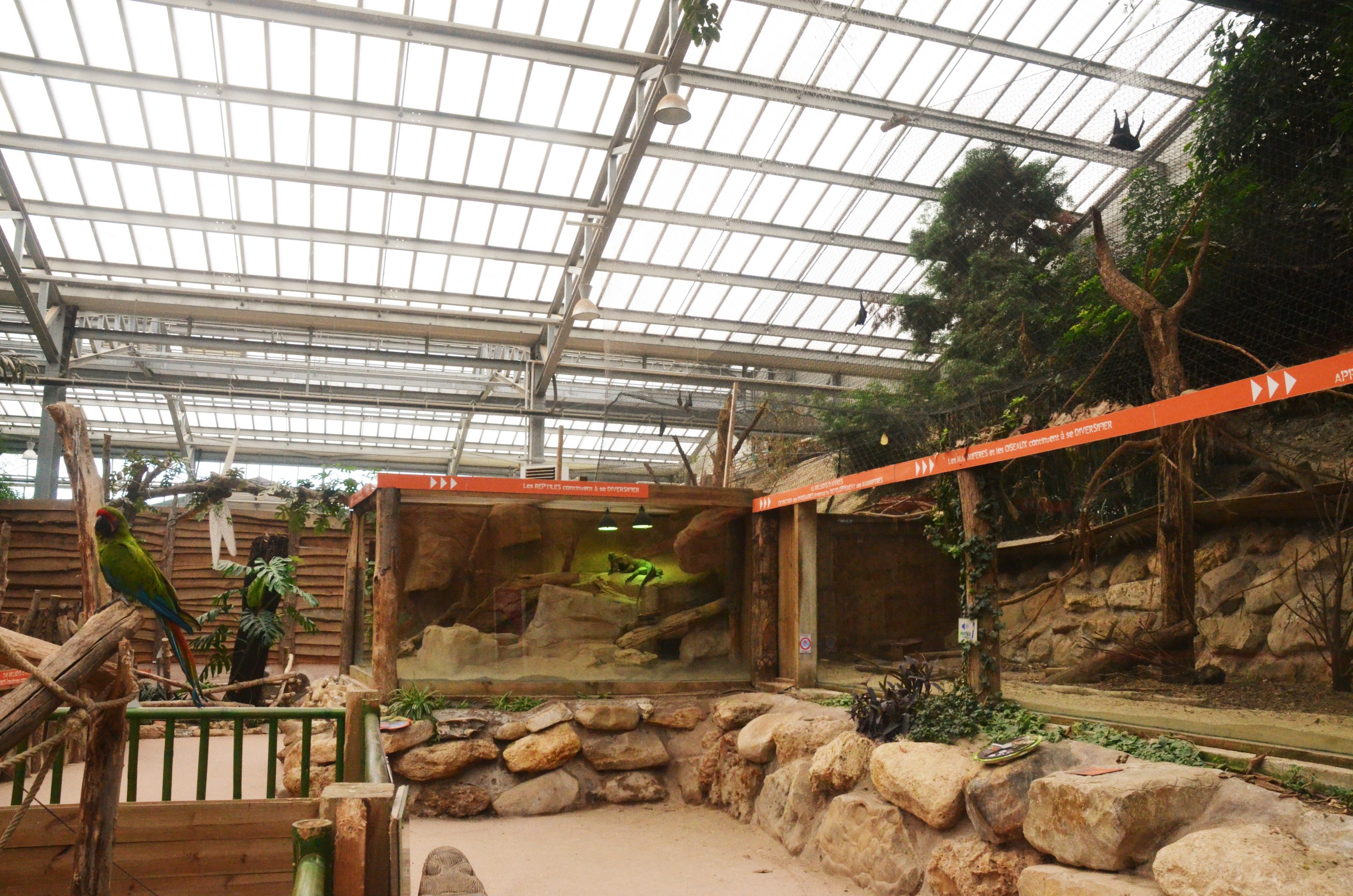 Iguana, Fruit Bat, Armadillo and Macaw Enclosures at Biotropica, 16/06/18