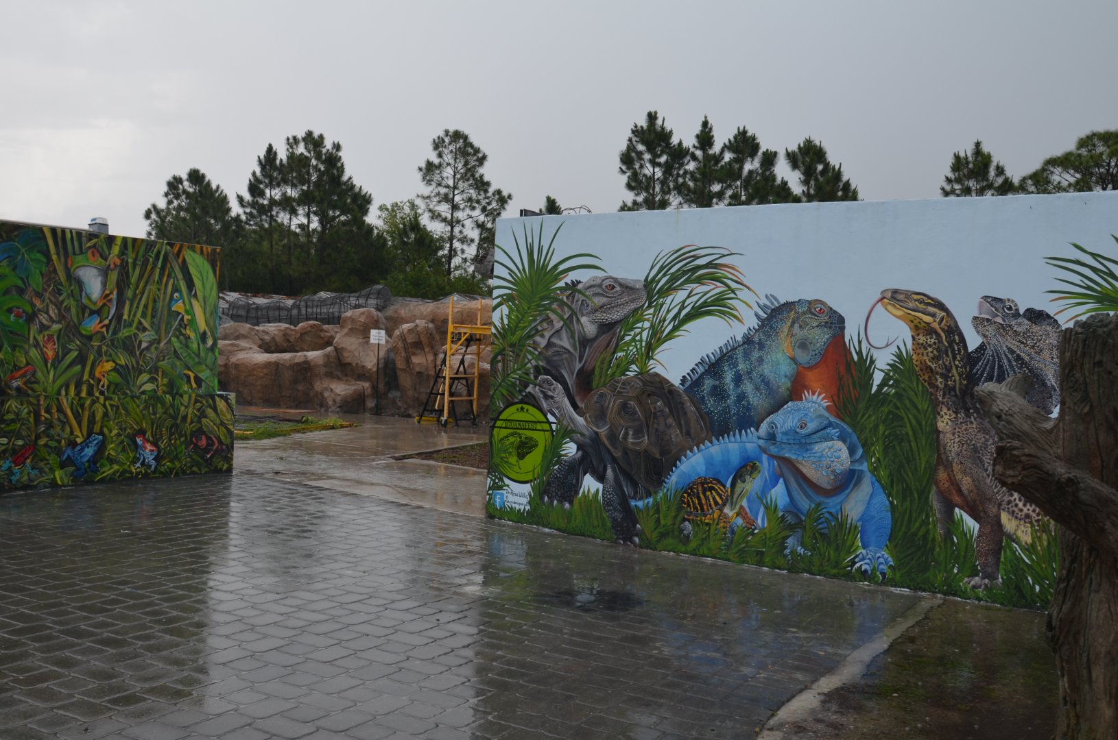 Iguanaland is better than Disneyland