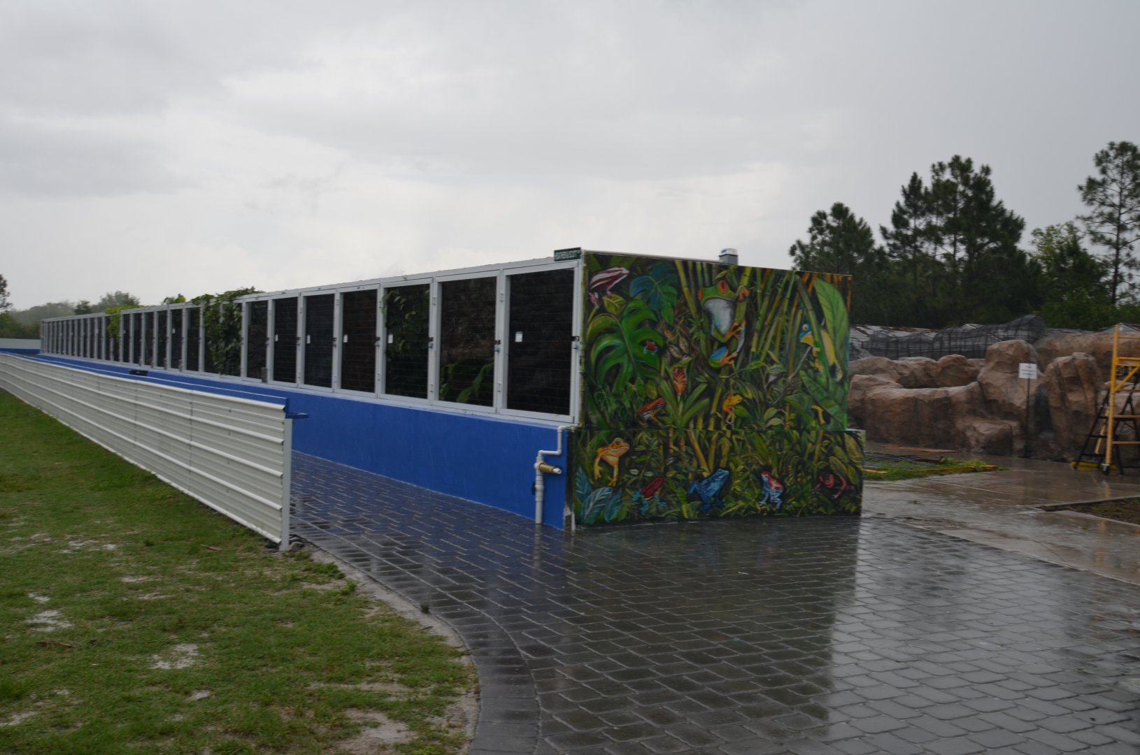 Iguanaland is better than Disneyland