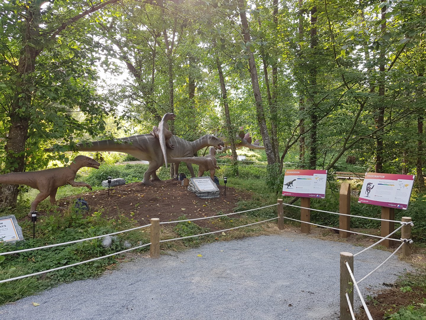 Iguanodon & Velociraptor Display