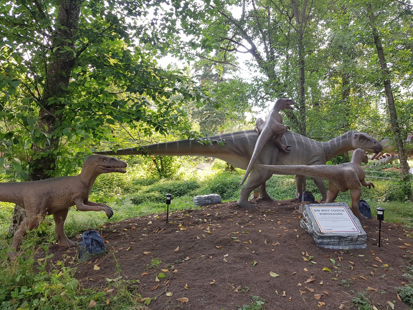Iguanodon & Velociraptors
