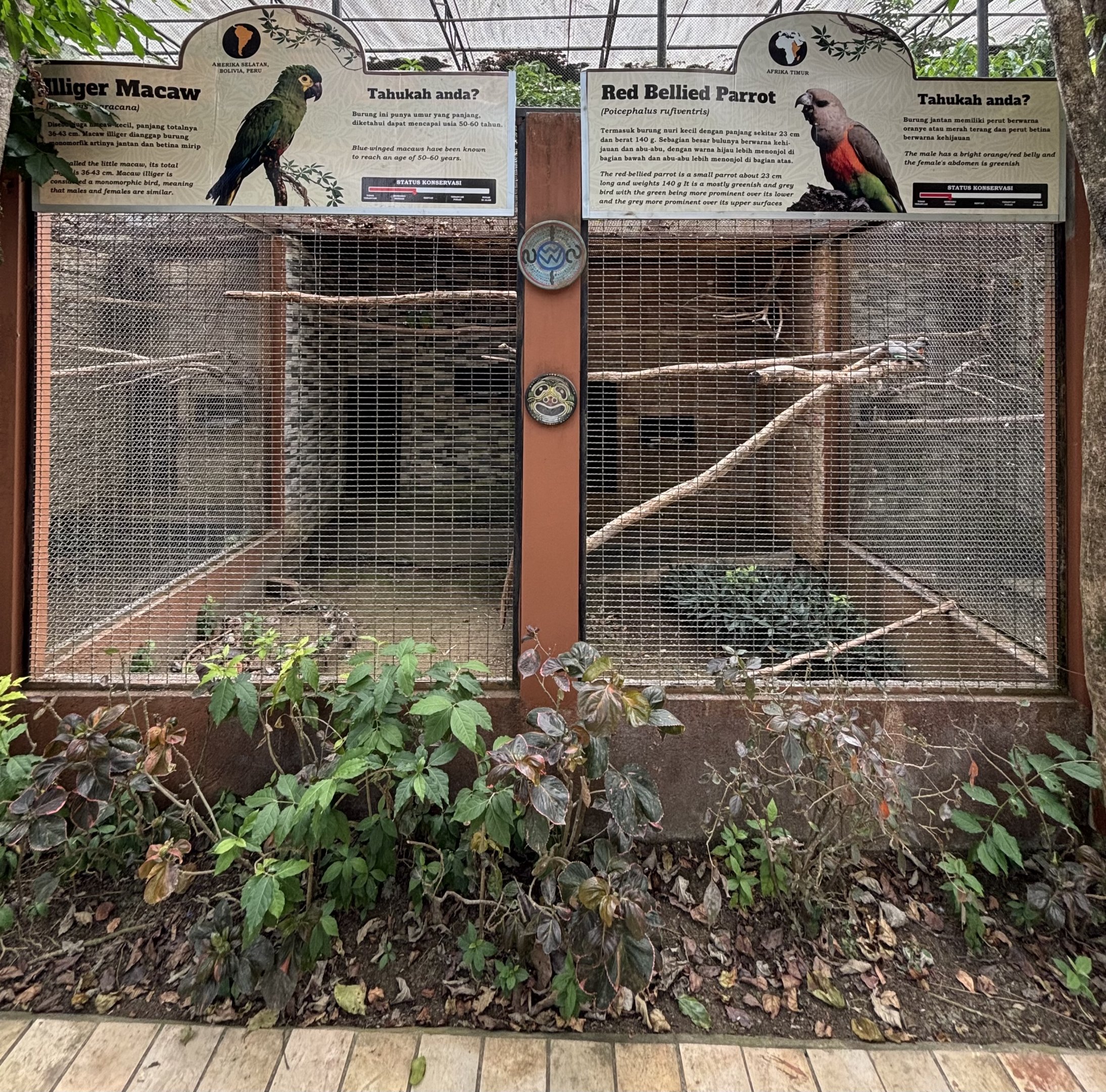 Illiger Macaw + Red-bellied Parrot Aviaries