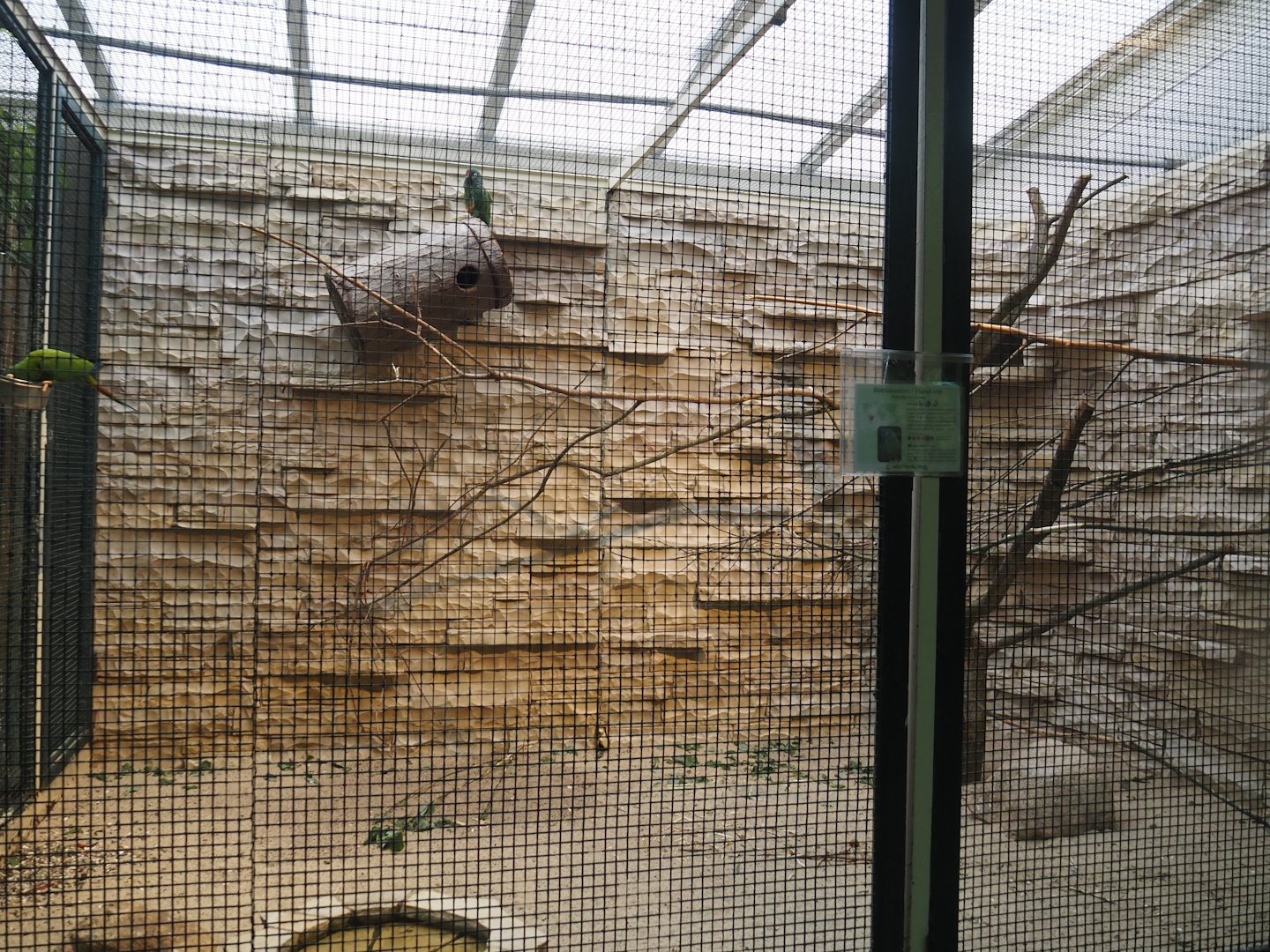 Illiger's macaw aviary, 2024-05-22