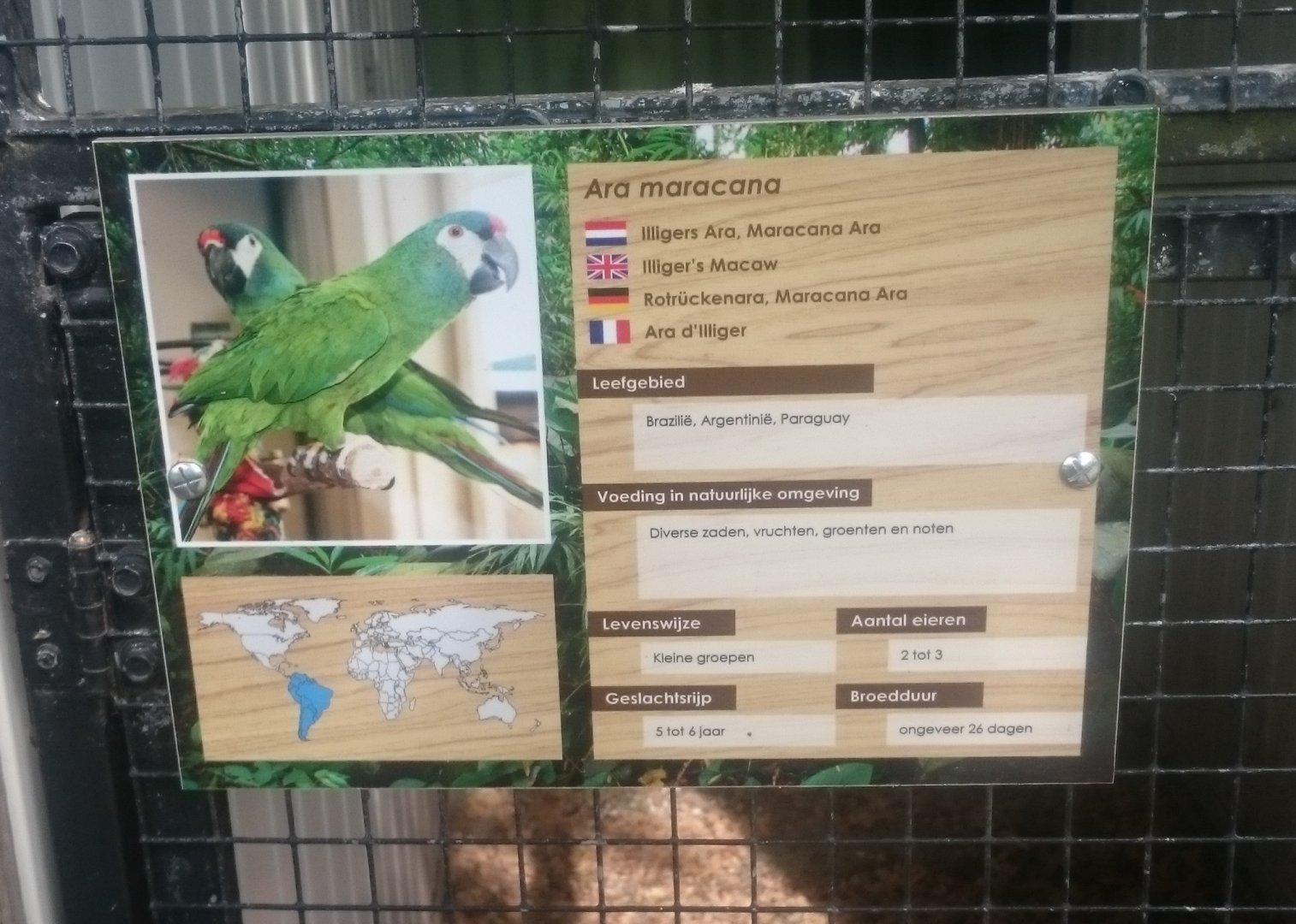 Illiger's macaw sign