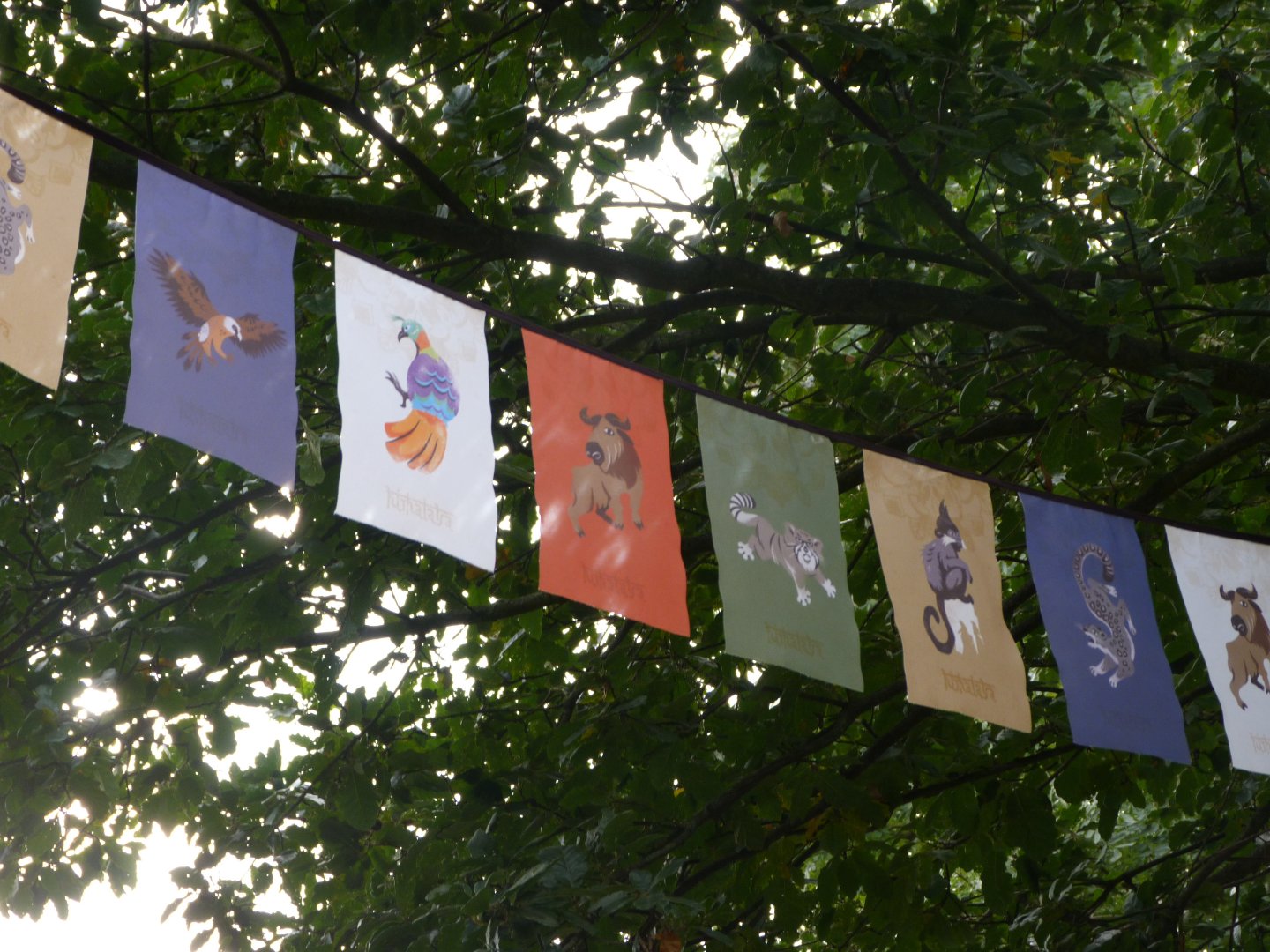 Illustrated flags -Tierpark Berlin (2024)