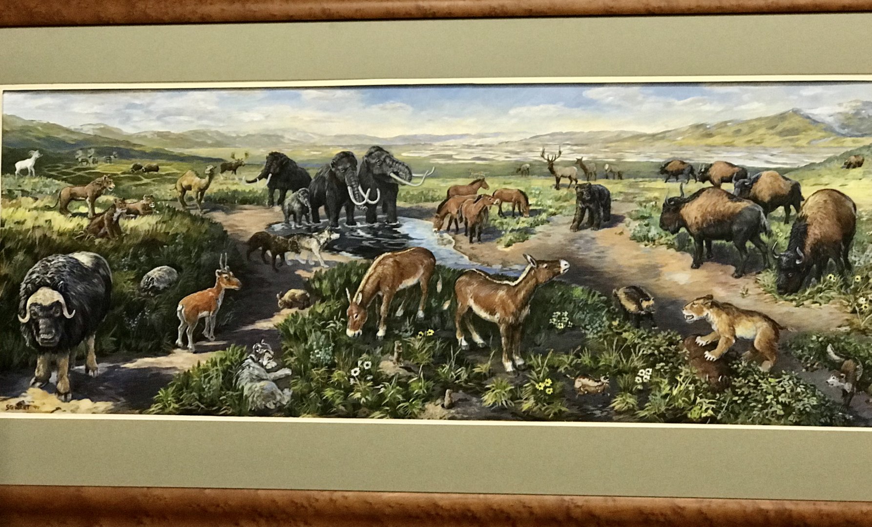 Illustration of Ice Age Fauna