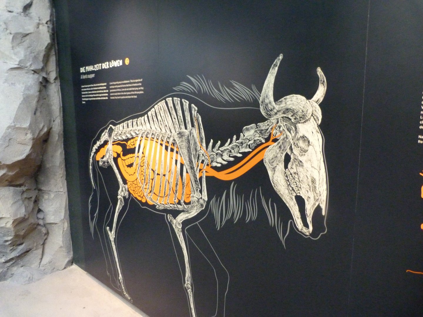 Illustration -Zoologischer Garten Berlin (2024)